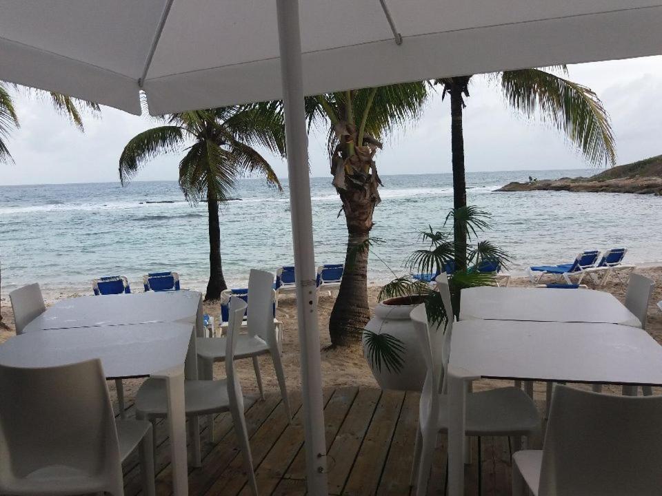 Appartement Proche De La Mer Ty Manganao Saint-Francois  Kültér fotó